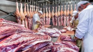 Lee más sobre el artículo Por las restricciones cambiarias las importaciones de carne de cerdo cayeron un 24%