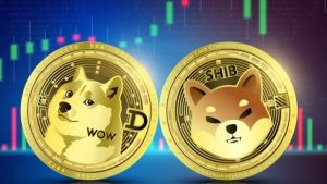 Lee más sobre el artículo ¡Día de subidas en el sector cripto! Dogecoin, Hoge Finance y DogeCash recuperan lo perdido