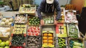 Lee más sobre el artículo Precios mundiales de alimentos anotan mayor caída desde 2008