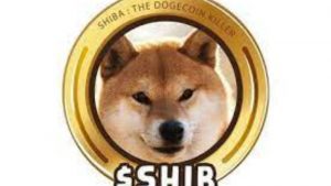 Lee más sobre el artículo El volumen comercial de Meme Coin Shiba Inu (SHIB) aumenta más del 500%