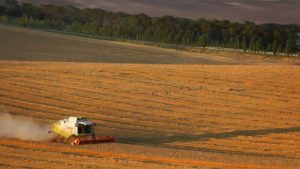 Lee más sobre el artículo Rusia podría incumplir el objetivo de la cosecha de grano de 2022 -ministerio