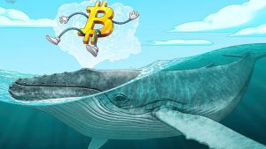 Lee más sobre el artículo Posible ruptura de Bitcoin a medida que las ballenas se acercan al precio lateral de BTC