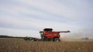 Lee más sobre el artículo Futuros de la soja en EEUU caen luego de que el USDA pronostica una enorme cosecha