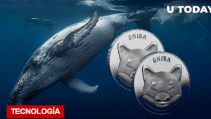 Lee más sobre el artículo $ 193 millones en SHIB terminan en las billeteras de las ballenas a medida que aumentan las tenencias