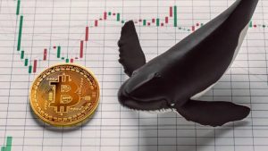 Lee más sobre el artículo Ballena mueve 10.000 bitcoins que mantuvo 9 años y genera incertidumbre en el mercado