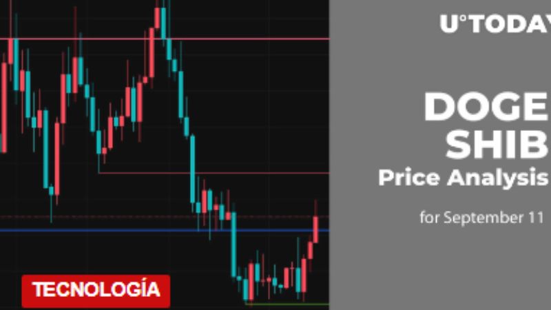 Análisis de precios de DOGE y SHIB