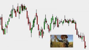 Lee más sobre el artículo Índice mundial de precios de los alimentos cae por quinto mes en agosto