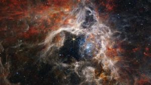 Lee más sobre el artículo El Telescopio Espacial James Webb captura una imagen de la Nebulosa de la Tarántula