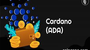 Lee más sobre el artículo Estas Señales Indican Un Aumento En El Precio De Cardano (ADA) Antes De La Hard Fork Vasil