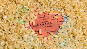 Lee más sobre el artículo India restringe sus exportaciones de arroz