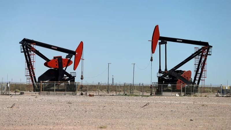 Se observan las plataformas de bombeo de petróleo en el yacimiento de petróleo y gas de esquisto de Vaca Muerta en la provincia patagónica de Neuquén, Argentina, 21 de enero de 2019.