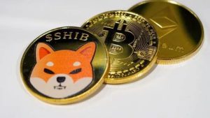 Lee más sobre el artículo Pepe Coin podría superar a Shiba Inu