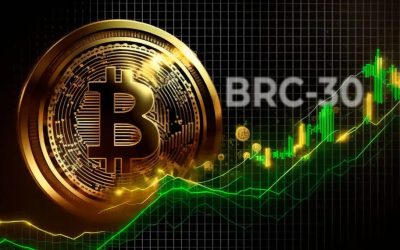Proponen los tokens BRC-30 para Bitcoin