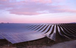 Lee más sobre el artículo La energía solar supera por primera vez al carbón en Europa