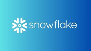Lee más sobre el artículo ¿Qué es Snowflake?
