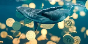 Lee más sobre el artículo Bitcoin sufre la mayor liquidación de ballenas desde 2022